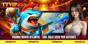 Fishing North Atlantic - Sail Cold Seas For Catches