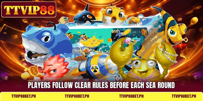 Players follow clear rules before each sea round Players follow clear rules before each sea round